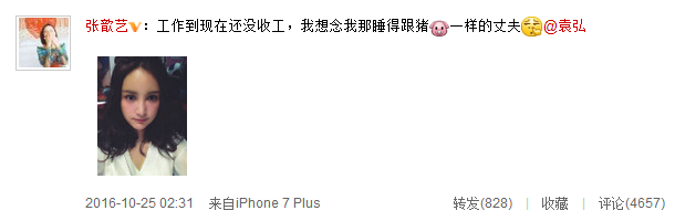 張歆藝袁弘又虐狗，張歆藝被酸下巴假，袁弘怒護妻：她六歲就這樣