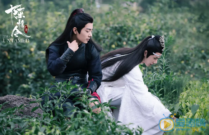 陳情令中藍忘機為什麼叫藍湛？他有幾個外號？