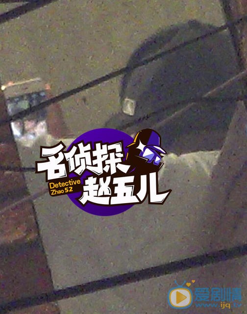 賈玲戀情曝光，男友是合伙人