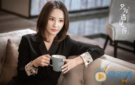 只為遇見你穆子昀究竟是好人還是壞人？她為什麼對高潔這么好？