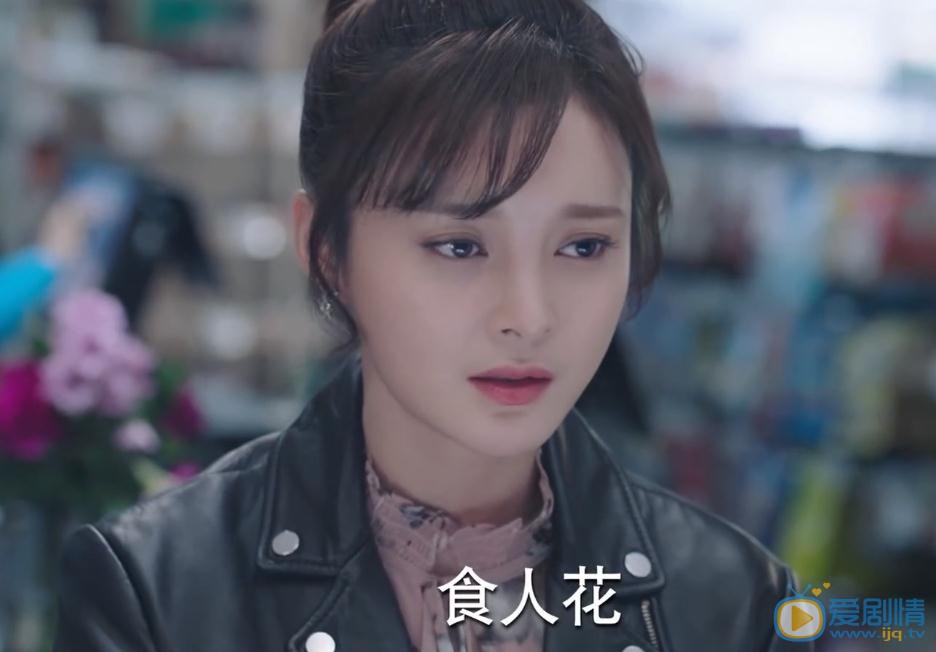 一千零一夜路寶妮喜歡誰？路寶妮喜歡莫南嗎？