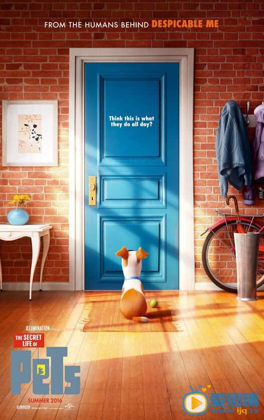 寵物的秘密劇情介紹