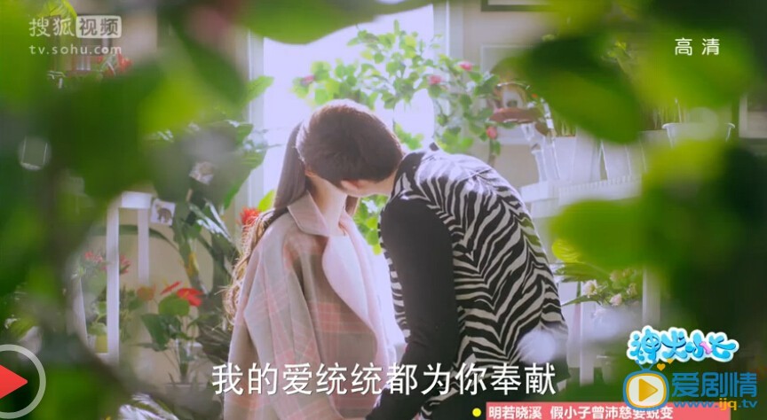 神犬小七艾亮和丁涵在第幾集親吻？神犬小七丁涵和艾亮真的接吻了嗎？