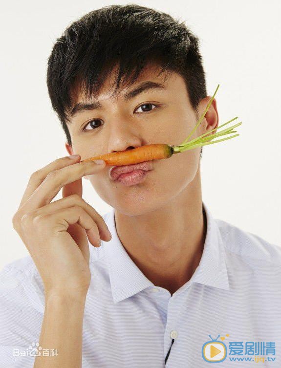 何所冬暖何所夏涼葉藺飾演者劉暢寫真生活照