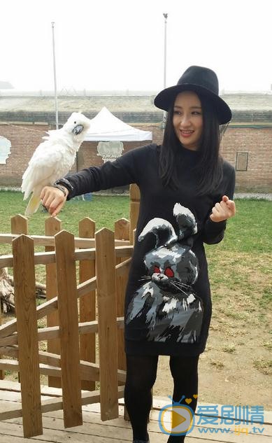 楚喬傳舒貴妃是誰扮演的？舒貴妃扮演者孫寧個人資料介紹