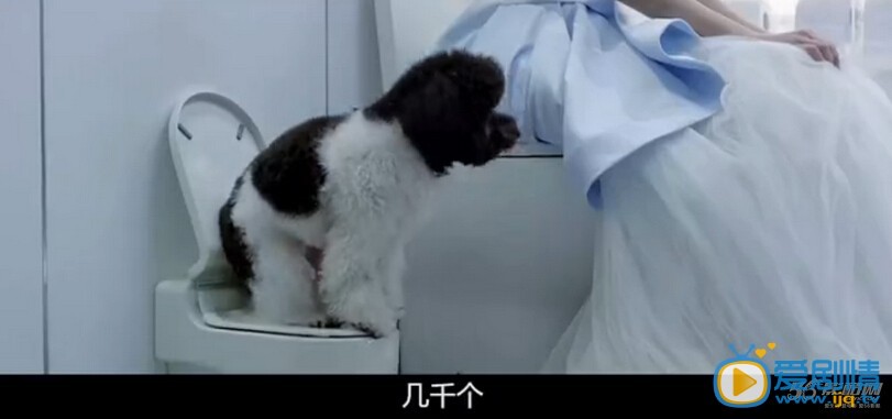 神探駕到劇情介紹