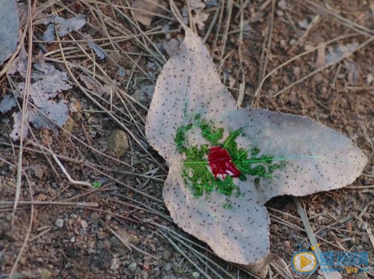 擇天記陳長生的血有什麼作用？陳長生的血有什麼秘密？