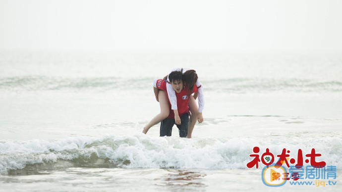 神犬小七3什麼時間播_神犬小七3播出時間