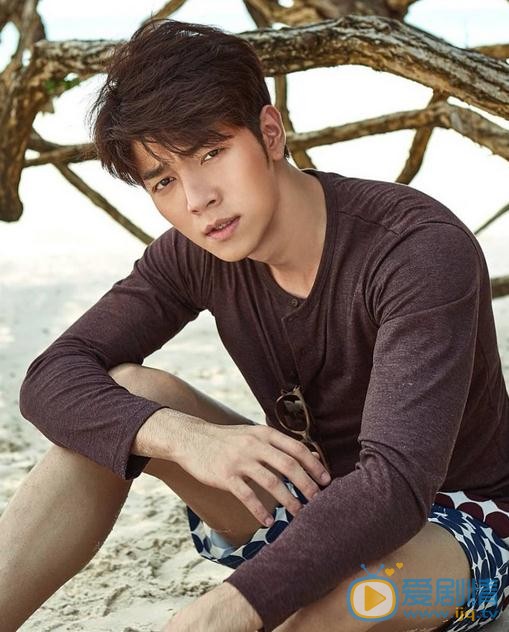 英迪帕塔尼個人資料簡介 英迪帕塔尼寫真