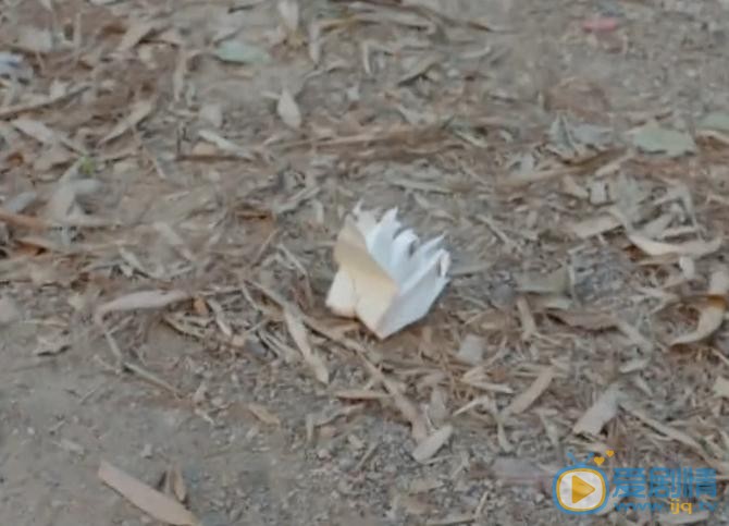 擇天記陳長生在哪一集知道徐有容的真實身份？