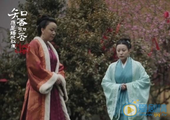 知否知否應是綠肥紅瘦黑衣人是誰？是誰要殺盛明蘭兒子？