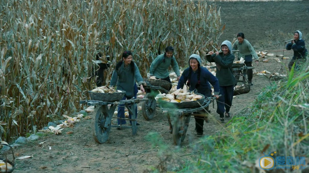 7538-8675fb973e70d3a5035dc4f37b4dac37