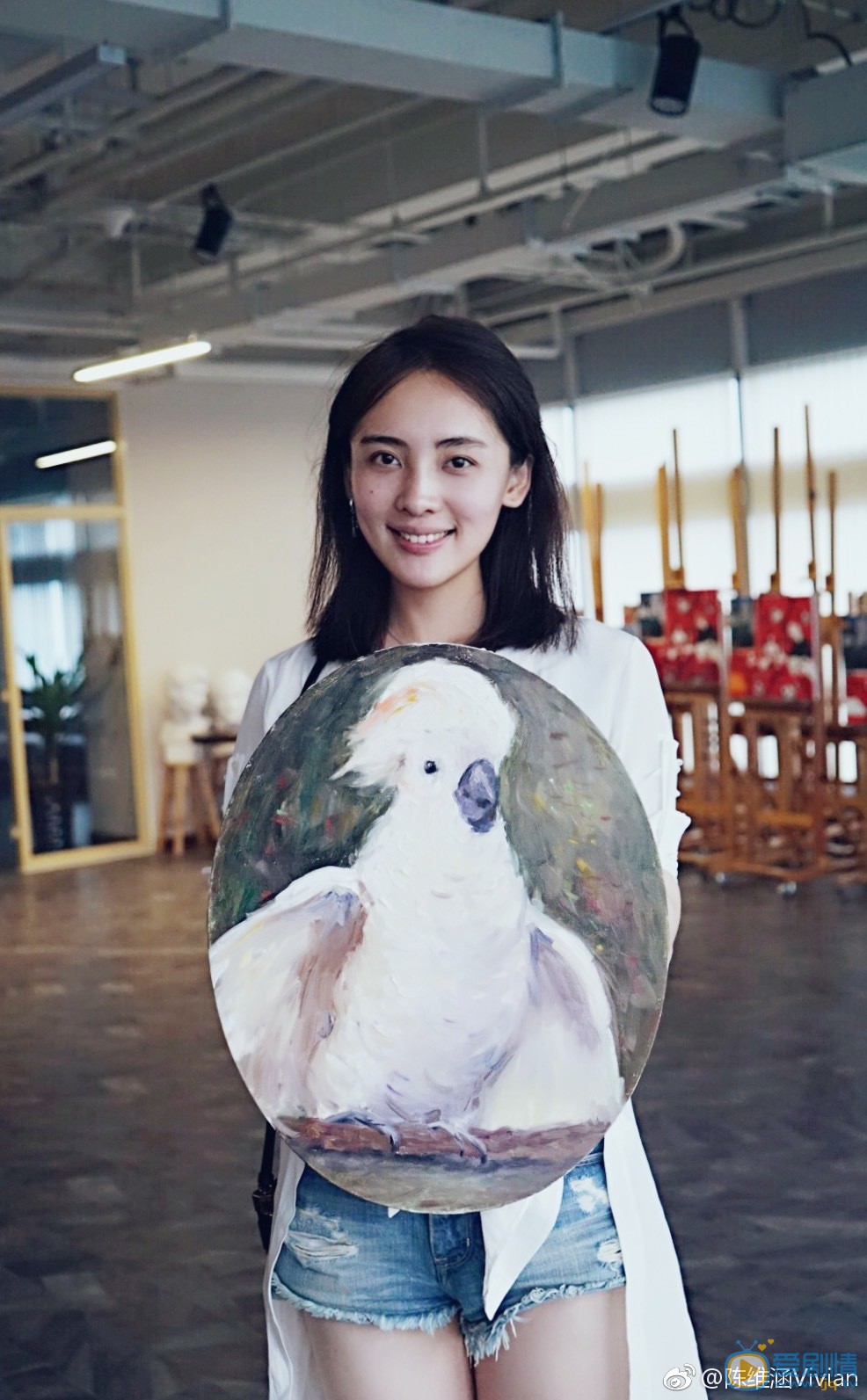 絕密543楊碩扮演者陳維涵圖片